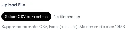 Upload File in the Bulk Import Assets form: a Select CSV or Excel file button, No file chosen, and the line Supported formats: CSV, Excel (.xlsx, .xls). Maximum file size: 10MB.