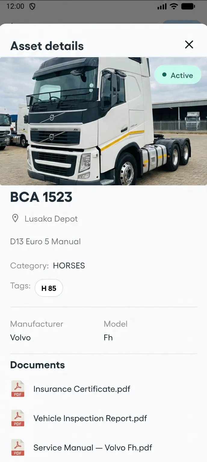 Mobile asset detail with category and tags
